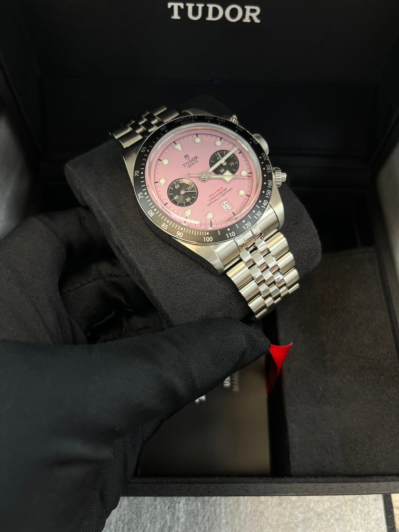 Tudor black bay chrono rosa