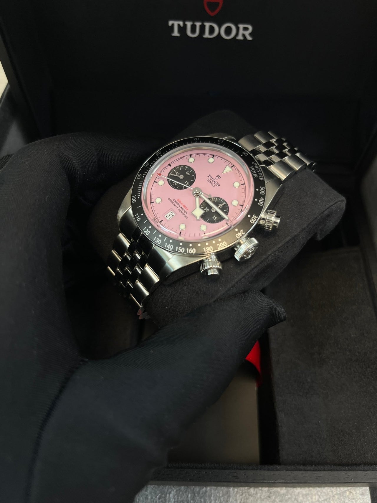 Tudor black bay chrono rosa